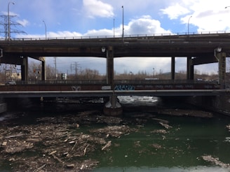 A concrete bridge structure spans over a body of water that contains floating debris such as branches and logs. The bridge is covered in graffiti, and power lines can be seen in the background. The day appears cloudy with some blue sky visible.