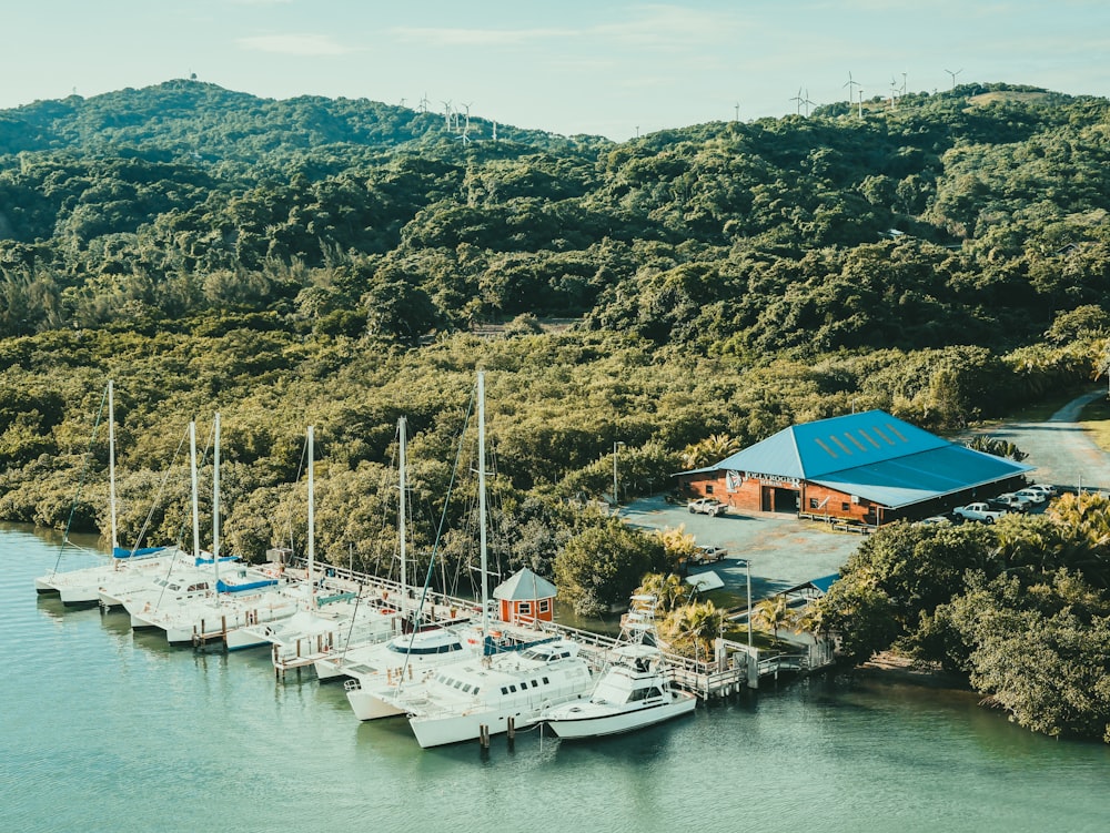 aerial view of yachts on bay