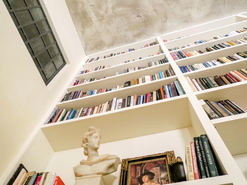 low angle photo of assorted book on bookshelf