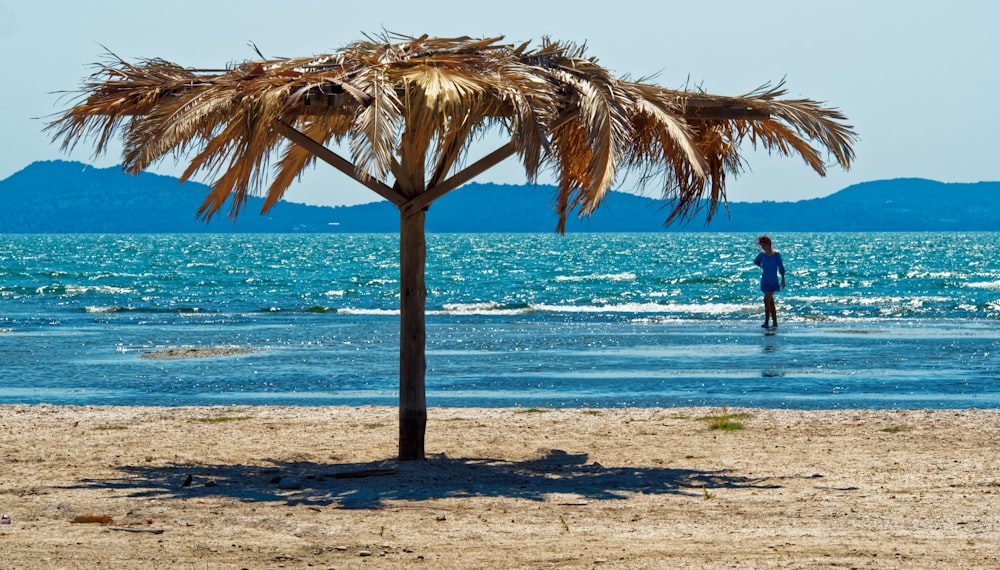 landscape photo of seashore during daytime