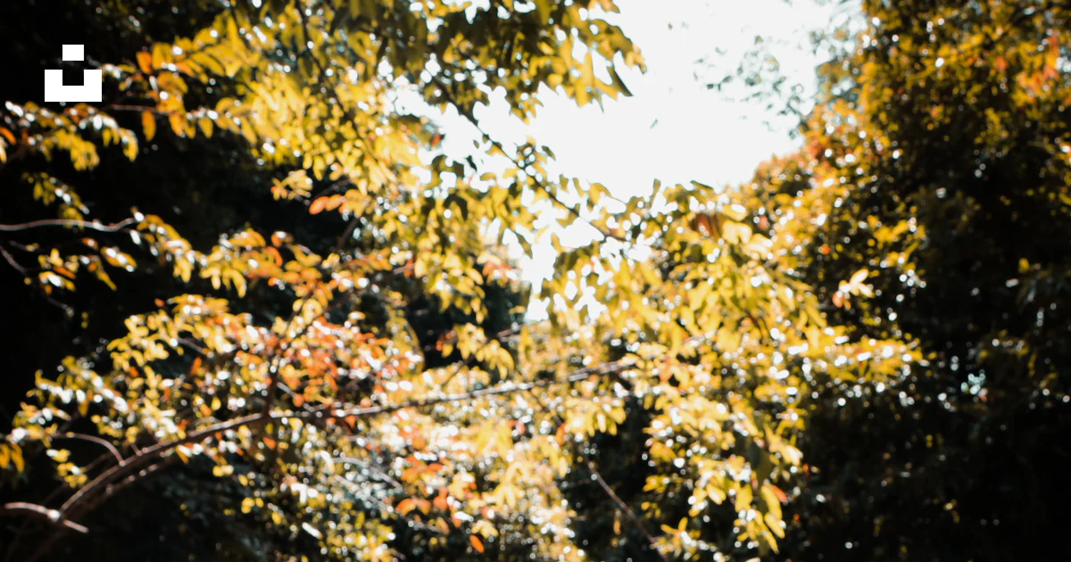 Person's showing his left hand photo – Free Hand Image on Unsplash