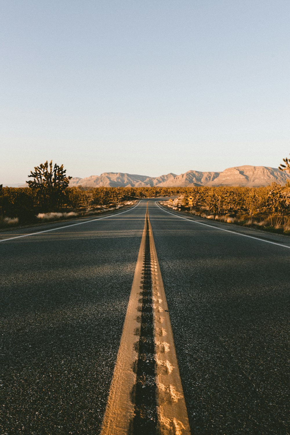 Vue en contre-plongée d’une route asphaltée pendant la journée