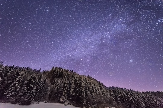 snow filled tall trees under purple sky full of stars in Unkenberg Austria