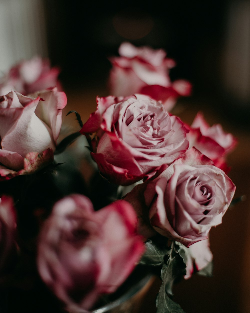 selective focus photography of pink rose flower arrangement