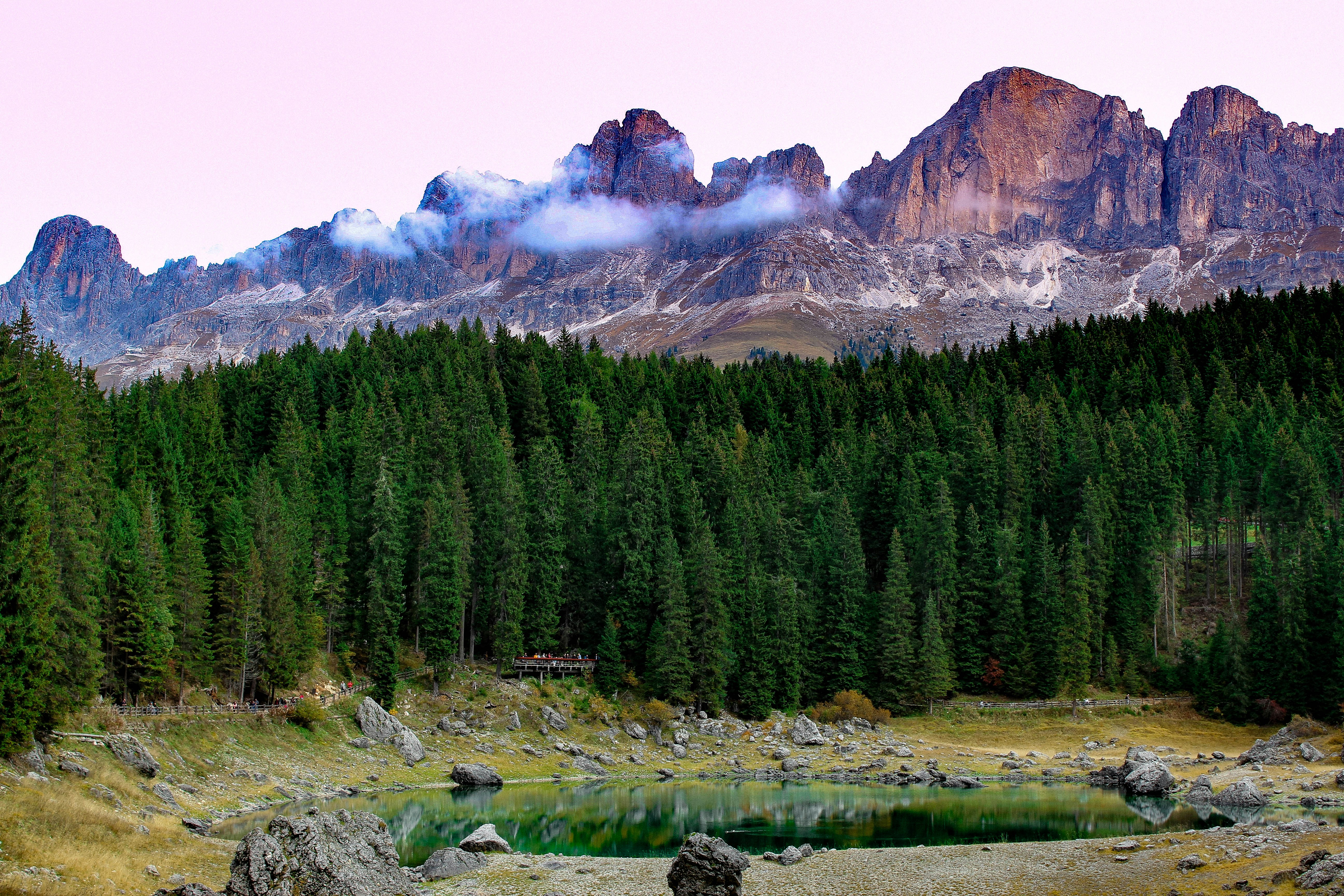 landscape photography of forest near mountain