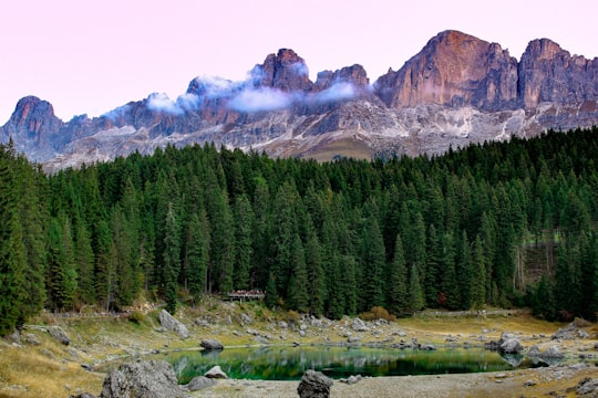 landscape photography of forest near mountain in Karersee Italy