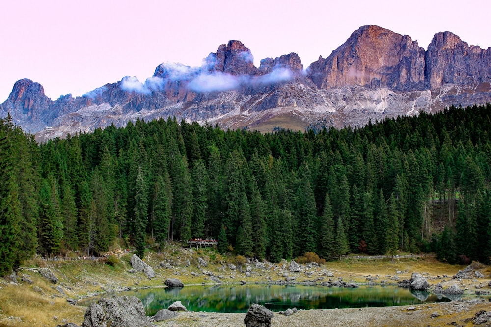 landscape photography of forest near mountain