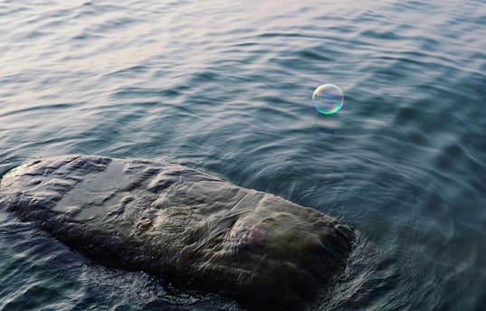 time lapse photography of bubble above rock formation
