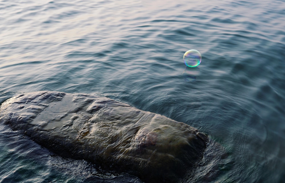 time lapse photography of bubble above rock formation