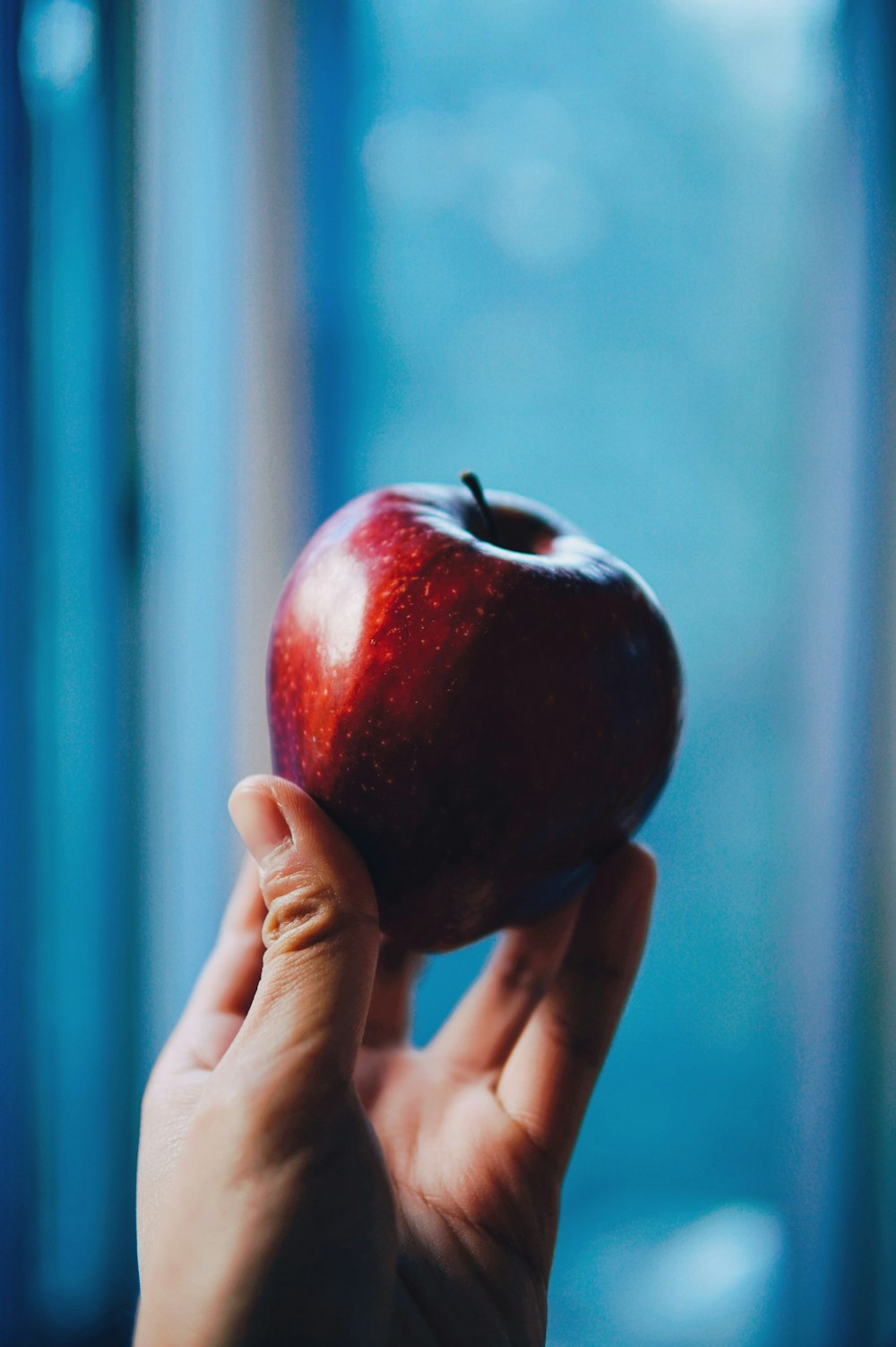 personne tenant une pomme rouge