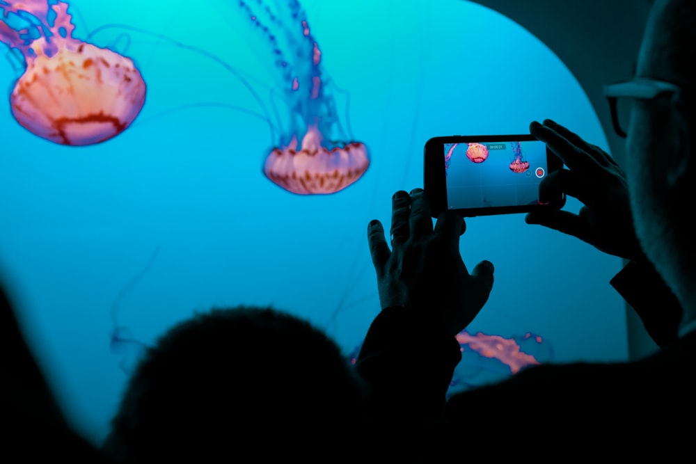 Un uomo che scatta una foto di meduse in un acquario