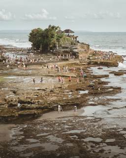 A rocky seaside area bustling with people exploring the tidal flats, some carrying cameras and capturing the scenic view. In the background, a small island with a lush, green pavilion sits amidst the waves.