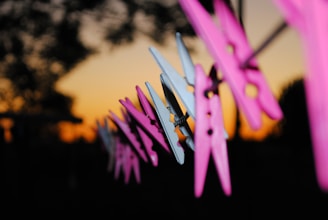 closeup photo of blue-and-pink clothes clip lot
