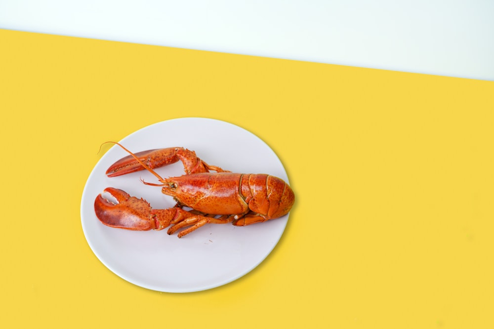 homard cuit sur assiette en céramique