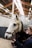 A veterinarian examining a horse in a stable.