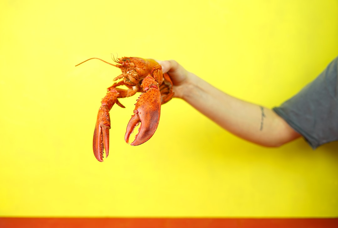 person holding lobster