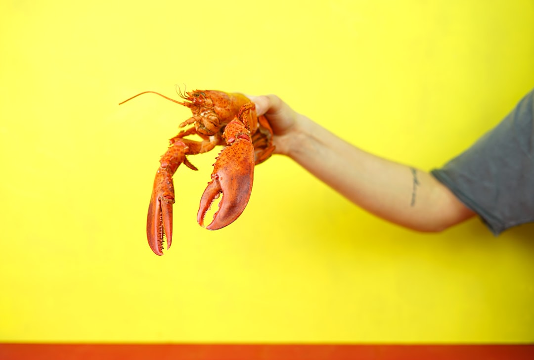 person holding lobster, mr crab