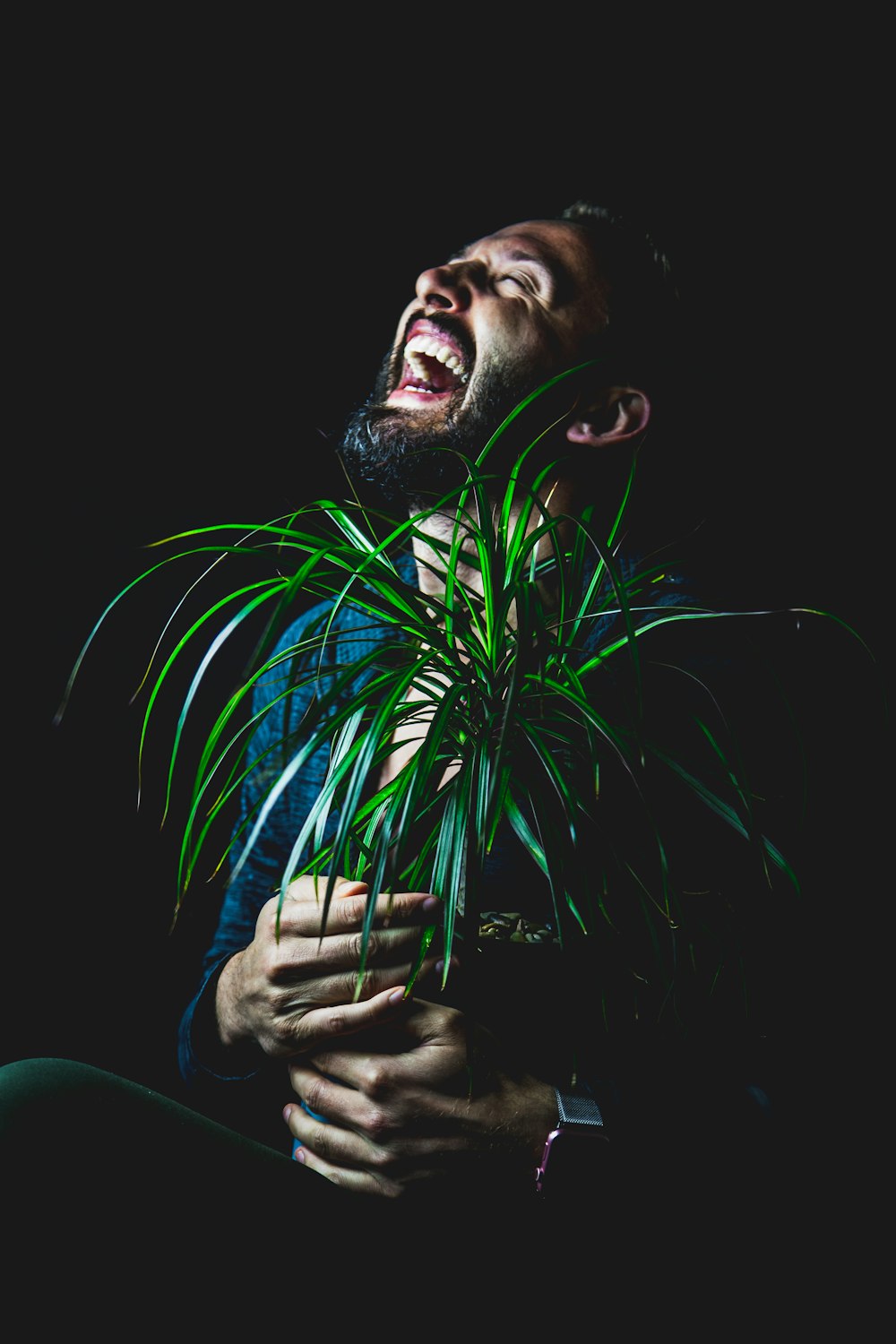 man holding green leafed plants