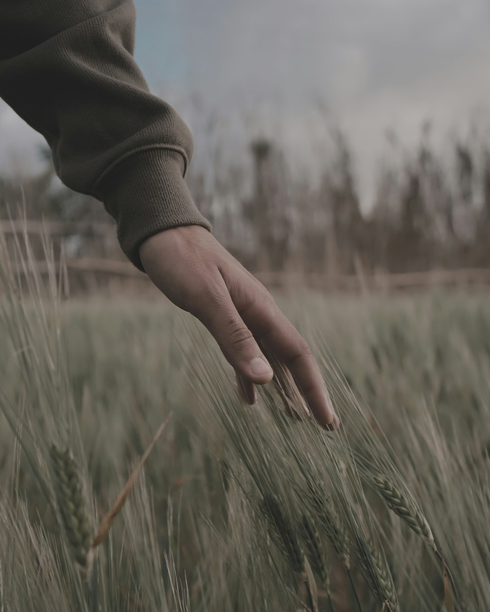 Fotografía de enfoque superficial de la mano de la persona