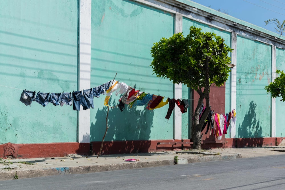 clothe lot hanged on clothesline near tree during daytime