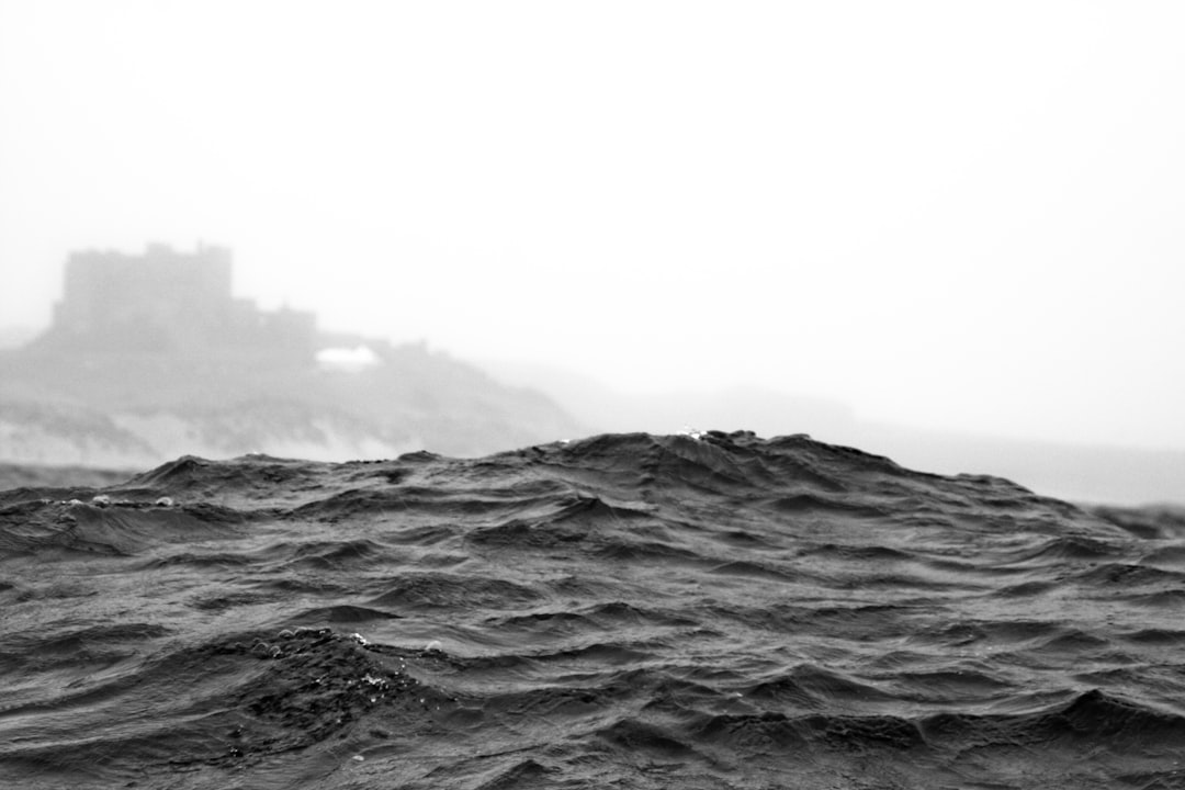 travelers stories about Ocean in Farne Islands, United Kingdom