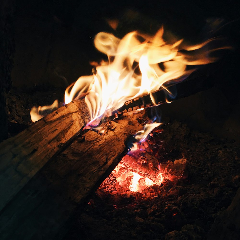 photo of bonfire