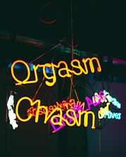Orgasm Chasm neon signage