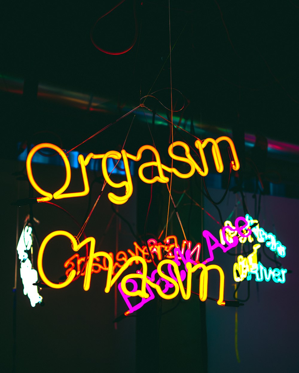Orgasm Chasm neon signage