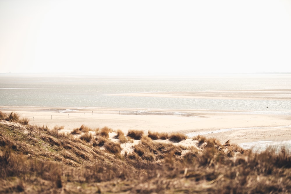 photo de mer calme pendant la journée