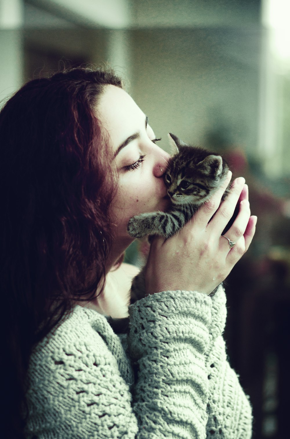 woman kissing gray tabby kitten