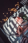A book titled '101 Essays that will Change the Way You Think' lies on a soft, textured blanket. A pale pink rose is placed on the book, and a hand is lightly resting on the corner. Soft, warm fairy lights glow in the background, creating a cozy atmosphere.