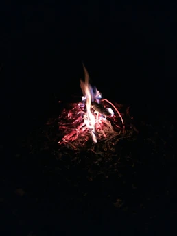 A flickering campfire surrounded by shadowy Appalachian woods at dusk.