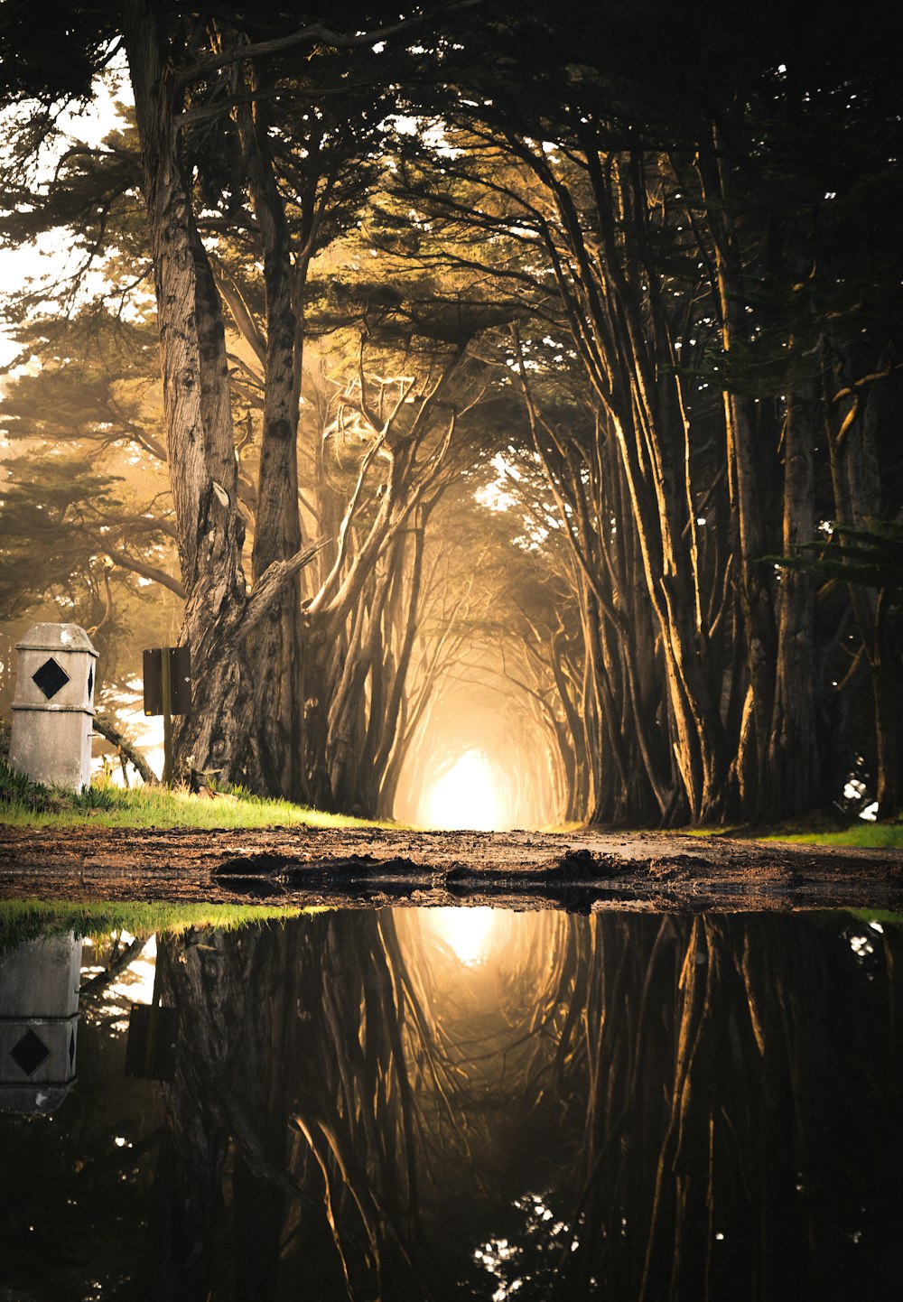 Body of water in front of brown soil digital art photo – Free ...