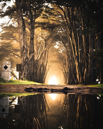 body of water in front of brown soil digital art