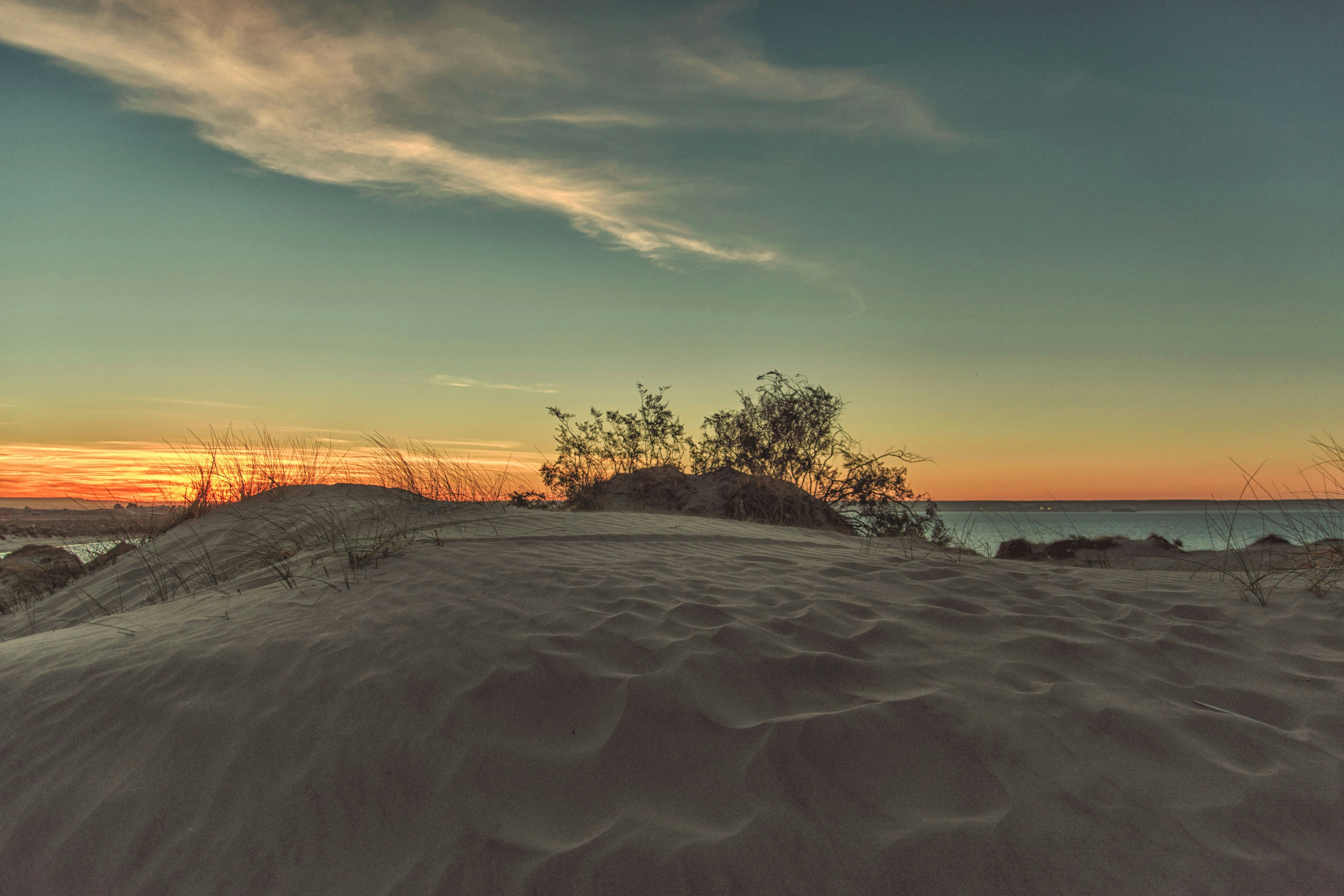Puerto Madryn, Argentina - We were looking for a nice place for a picnic, when we saw a gigantic dune. After struggling with te sand and clogging the car, finally we arrived at this place.