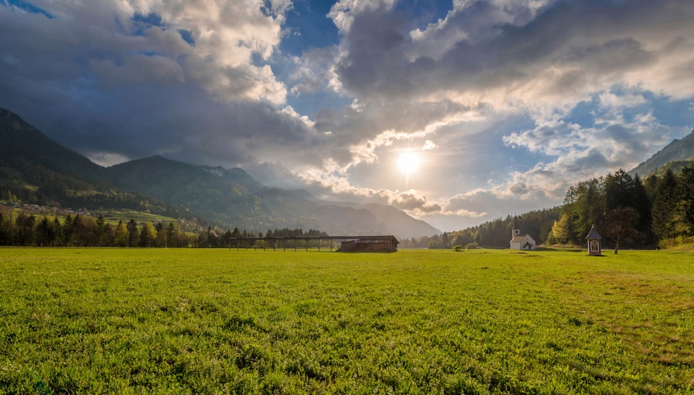 green grass field