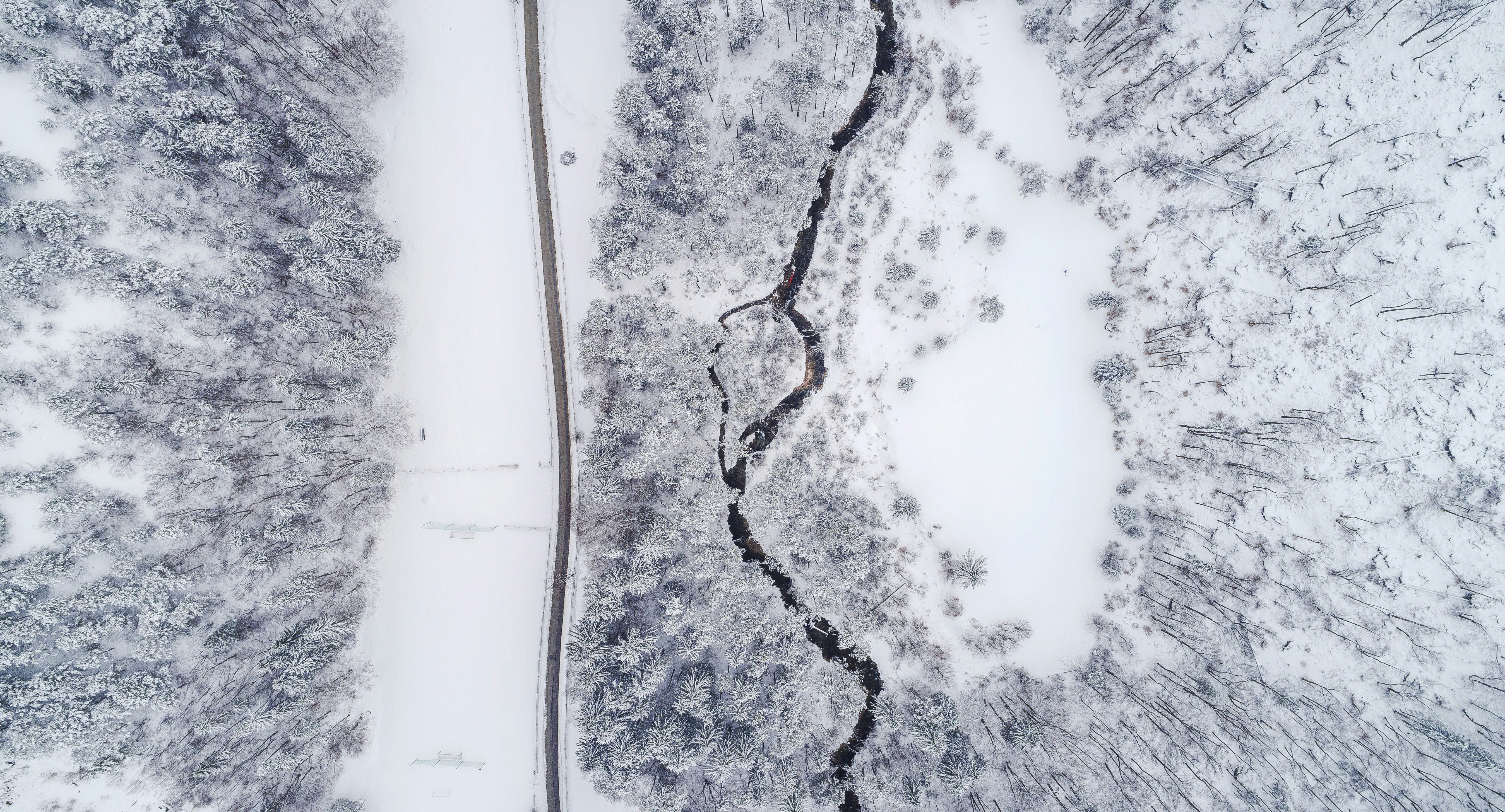 top view photography of road and trees, Lost in the Wilderness