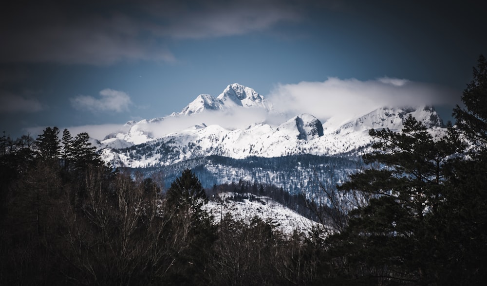 Foto de paisaje de montaña cubierta de nieve