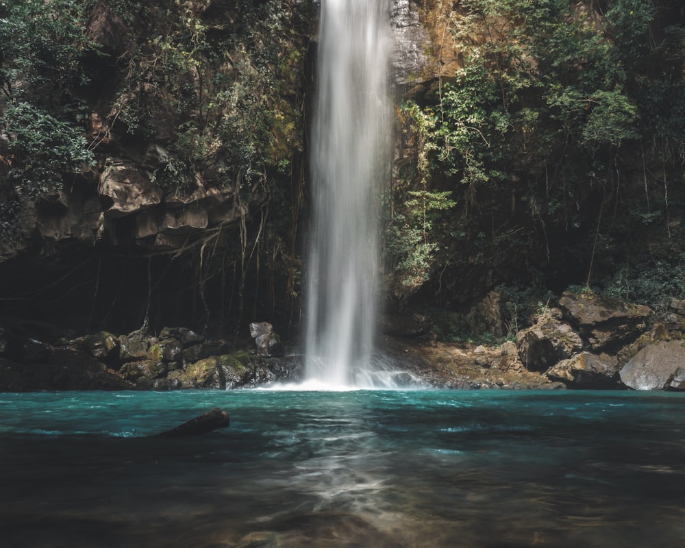 cascate tra gli alberi durante il giorno