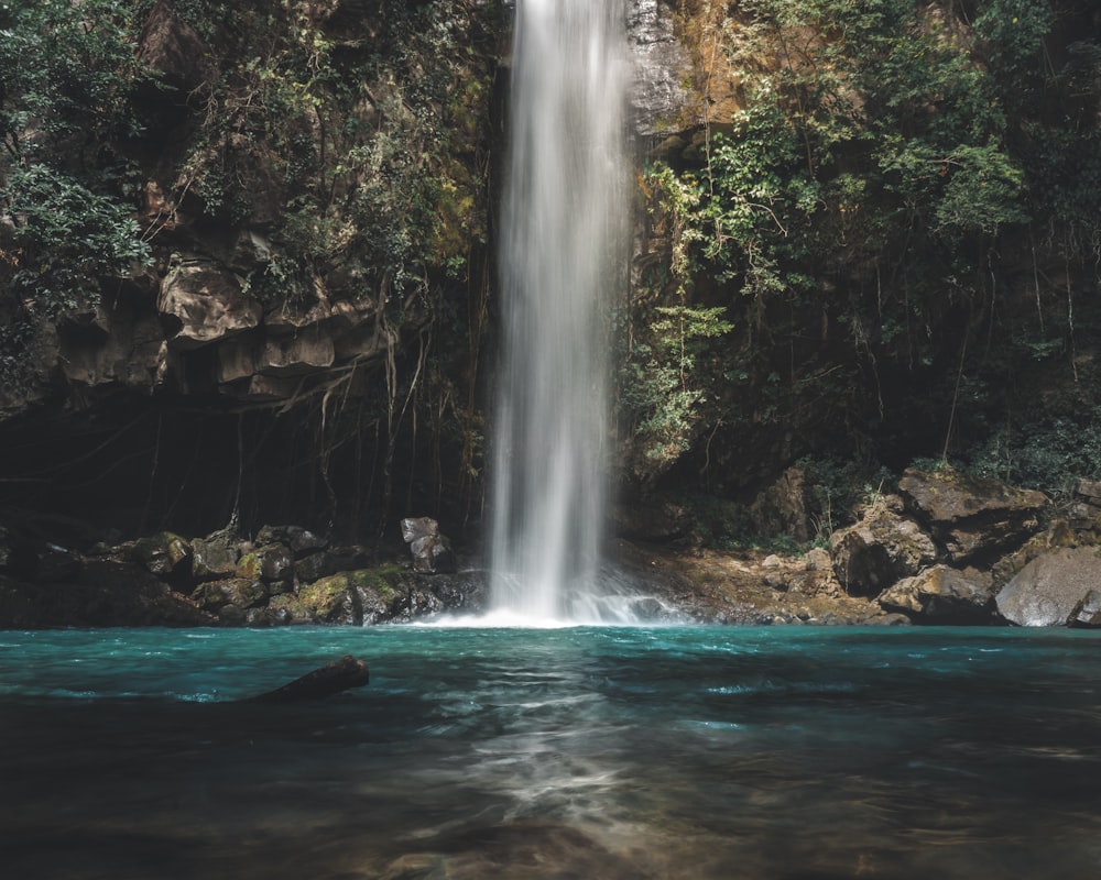waterfalls between trees at daytime