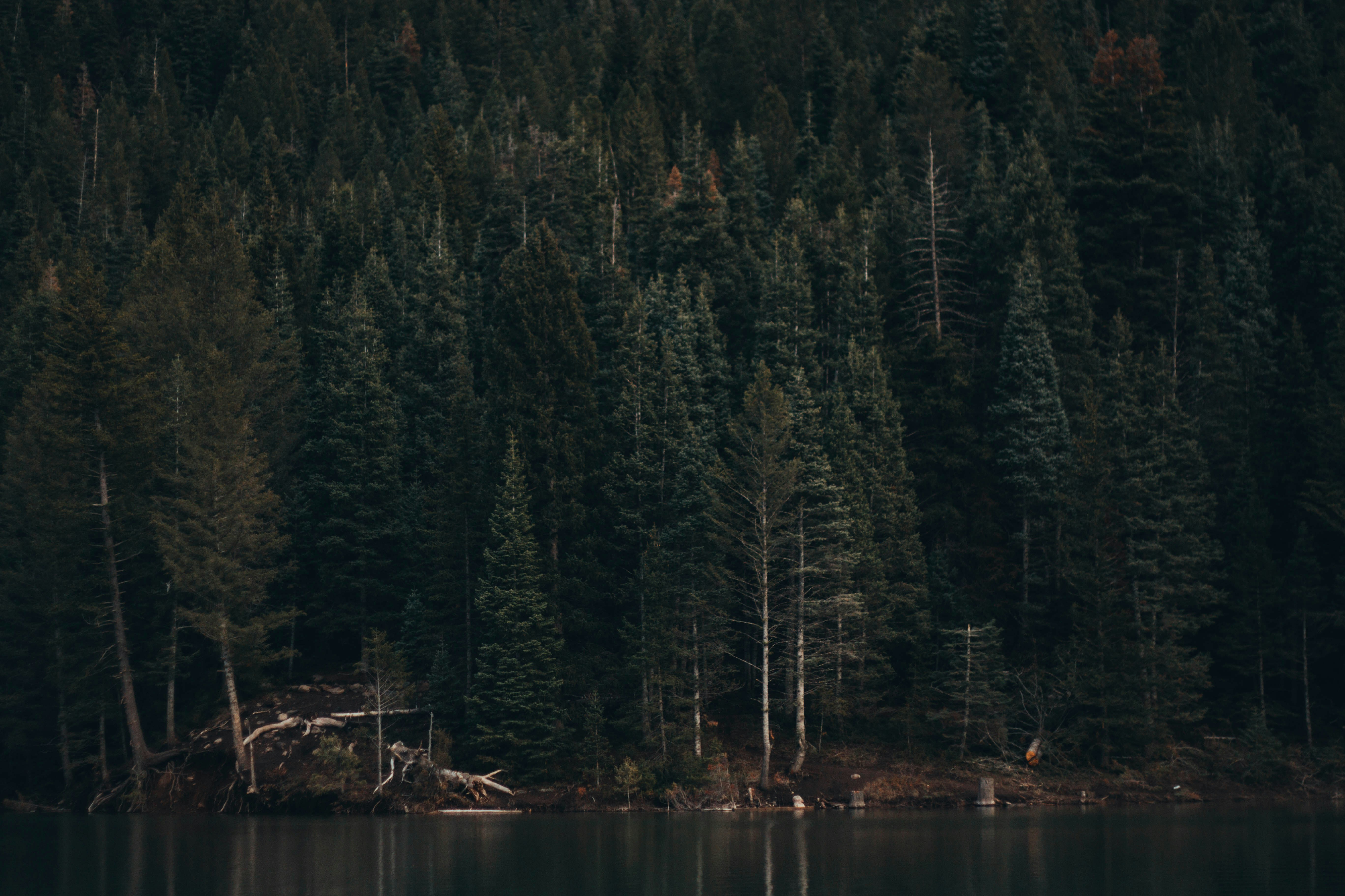 Photo by devjustesen