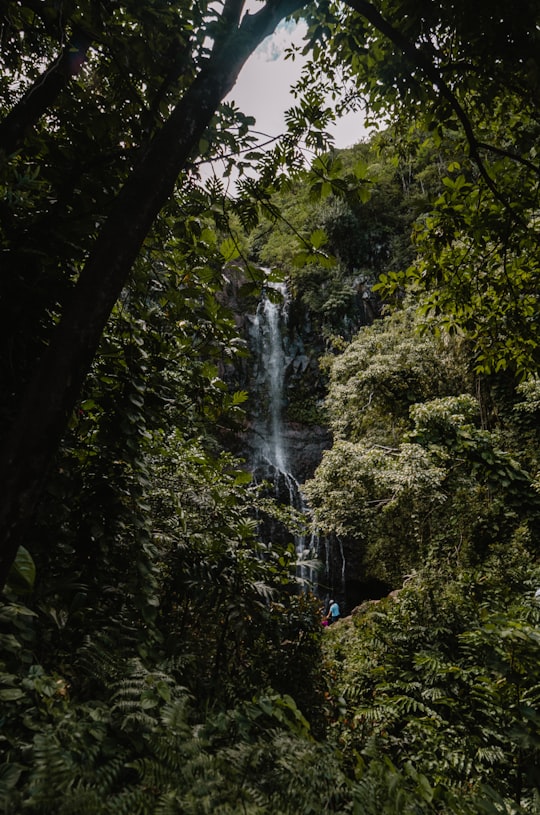 Hana Highway things to do in Hana