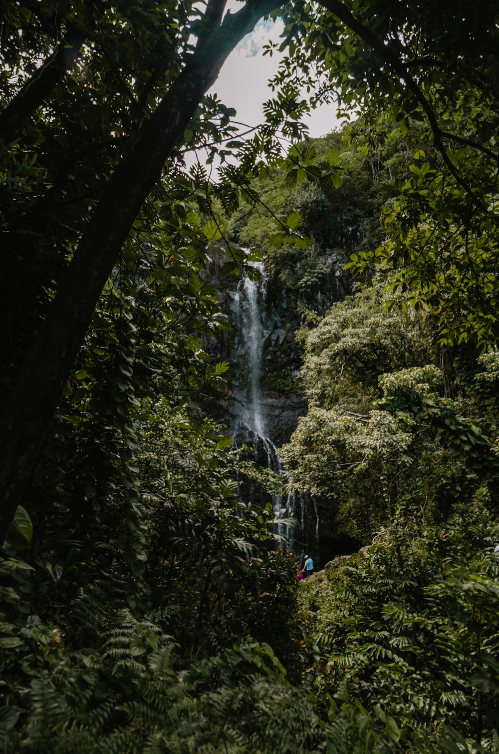 water falls at forest during daytime