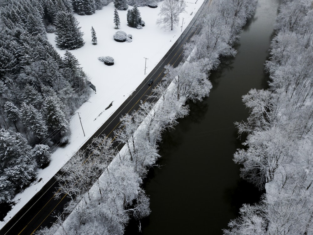grayscale aerial view of trees and body of water