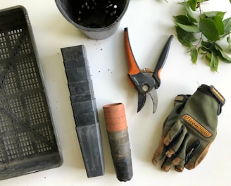 black pruning shears beside green gloves