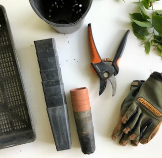 black pruning shears beside green gloves