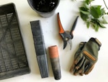 black pruning shears beside green gloves