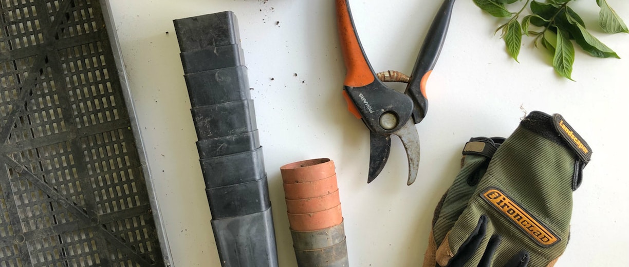 black pruning shears beside green gloves