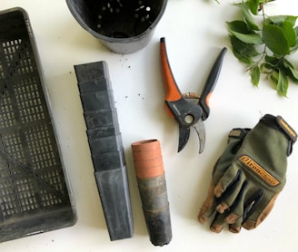 black pruning shears beside green gloves