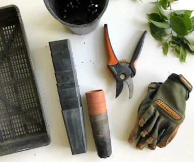 black pruning shears beside green gloves